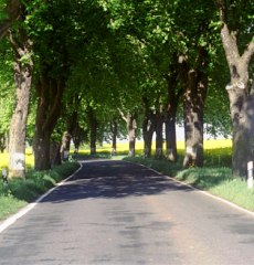 Oberuckersee Landstrae